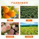Guoguang stick fertilizer for garden big trees, transplanted trees, street trees, ancient trees, special wedge-shaped 45% compound fertilizer for rejuvenation. Excellent price for the whole box. Stick fertilizer 10 sticks*6 bags
