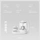 Olayks instant mini health pot teapot tea maker office heating thermostat coaster small kettle steam spray 0.8L OLK-TK01