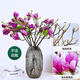 Xingxiang hydroponic plant Magnolia flowers dried branches fresh cut flowers bloom when exposed to water Purple Magnolia 60~80cm 4 branches straight from the source