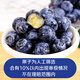 Jingxiansheng Yunnan blueberries in season 4 boxes of extra large fruit 22mm+ 125g/box fresh fruit straight from the source