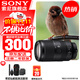 Sony (SONY) APS-C half-frame large zoom lens E70-350mmF4.5-6.3 G OSS official standard