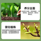 Nitrogen, phosphorus and potassium garden greening special water-soluble compound fertilizer slow-release fertilizer for lawn seedlings, flowers and big trees phytochemical fertilizer 20 kg * 10 bags