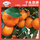 Jingdida Guangxi Tangtang Orange, net weight 4.5Jin Jin is equal to 0.5kg, single fruit 40mm+, straight from the fresh source