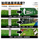Qingya simulated lawn carpet, fake turf bedding, plastic outdoor artificial court, artificial fence, kindergarten green floor mat, 2 cm, newly upgraded 11-pin encryption, high-quality B-grade model (2 meters wide and 25 meters long) 50 square meters