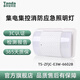 Taihean wall-mounted emergency light 660166026604 intelligent evacuation emergency double-headed light centralized power supply 36V wall-mounted double-headed light (3W)-6602B
