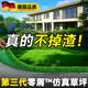 Qingya simulated lawn carpet, fake turf bedding, plastic outdoor artificial court, artificial fence, kindergarten green floor mat, 2 cm, newly upgraded 11-pin encryption, high-quality B-grade model (2 meters wide and 25 meters long) 50 square meters