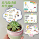 Kindergarten plant label insert card plant care card DIY plant care card card school plant corner logo 05 blank card 9MMPVC covered with crystal film 10x16cm