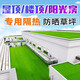 Fake lawn simulated artificial turf plastic green carpet rooftop balcony roof sun room villa courtyard outdoor 2.5 cm thickened extra dense spring grass 2 meters wide 1 meter long manual cutting