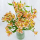 Narcissus lily flowers alstroemeria orange orange red Yunnan base fresh straight hair bloom fast and long flowering period 10 narcissus lilies (wake up the flowers first when they arrive, only 1-2 leaves can be left)