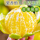 Jingdida Guangxi Emperor Citrus Orange Nettogewicht 4,5 Jin Jin entspricht 0,5 kg Einzelfrucht 60 mm+ Frischfruchtquelle direkt
