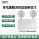 Taihean wall-mounted emergency light 660166026604 intelligent evacuation emergency double-headed light centralized power supply 36V wall-mounted double-headed light (3W)-6602B