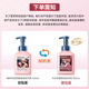 Vegetable Garden Foaming Hand Sanitizer Children's Baby Hand Wash Gentle Foaming Cleansing 500ml