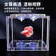 Trendy lifestyle electrical appliances lantern fish tank 1 fish tank (comes with colorful stones and water plants)