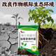 SOUTH RANCH agricultural Bacillus subtilis ecological organic planting mulch root nourishment soil anti-root rot and anti-repeat bacterial fertilizer Bacillus subtilis 1000g*10 bags