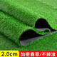 Fake lawn, simulated turf, green carpet, outdoor artificial plastic, artificial bionic outdoor insulation fence, 2.5 cm thickened spring grass, 3 meters wide*3 meters long