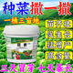 Just when the flowers are blooming, regular original package, small granular urea fertilizer, vegetable nitrogen fertilizer, flower planting fertilizer, fruit and vegetable plant potting general purpose, granular urea 10 barrels, original packaging delivery/10% off for fake ones
