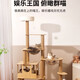 Jingdong Logistics Meow Building Cadre d'escalade en Bois pour Chat Nid de Chat Support pour Chat Villa Verticale intégrée Corde de Chanvre Jouet résistant à l'usure Château de rêve Plus Capsule Double Espace Grand Espace