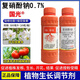 Guoguang Chongfeng 0.7% sodium nitrophenolate tomato tomato growth regulator plant growth regulator sodium nitrophenolate 500ml