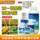 Yunda 120 Yunda YD120 28 high brassinolide rice wheat vegetable sugarcane corn plant growth regulator 10ml