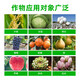 Guoguang Pesticide Naphthalene Acetate Plant Growth Regulator Flower Preservation and Fruit Preservation Medicine Prevent Fruit Falling Apple Tree Hua Guo Bao 100ml*10 Bottles