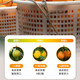 Jingmi Jiangxi Gannan navel orange 9Jin Jin is equal to 0.5kg, net weight orange diamond fruit starting from 220g, portable gift box, sweet orange fruit, straight from the source