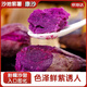 Jingdida Hainan Sandy Purple Sweet Potato Purple Sweet Potato Meal Replacement Net Weight 5Jin Jin is equal to 0.5kg (3-8 taels/piece) Straight from the source