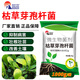 SOUTH RANCH agricultural Bacillus subtilis ecological organic planting mulch root nourishment soil anti-root rot and anti-repeat bacterial fertilizer Bacillus subtilis 1000g*10 bags