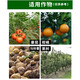 1.8% compound sodium nitrophenolate for cotton, fruit trees and vegetables to regulate growth and increase yield, preserve flowers and fruits, plant growth regulator 1000g