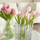 Sweet and Romantic Domestic Tulips 10 Random Colors