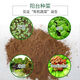 Pastoral soil, ordinary yellow soil, universal pure natural mud soil, vegetable soil, flower soil, balcony nutrient soil 10 Jin Jin is equal to 0.5 kg, natural green pure pastoral soil, insecticide-free