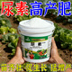 At the time when the flowers are blooming, urea fertilizer, special fertilizer for vegetables, compound fertilizer, fruit and vegetable agricultural vegetable, orchard, flower potting, general compound fertilizer, 1 barrel, urea high-yield fertilizer