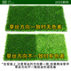 Fake turf simulated lawn green carpet outdoor artificial plastic artificial bionic outdoor insulation fence football field 2 cm newly upgraded encrypted high-quality spring grass 4 square meters 2 meters wide * 2 meters long