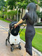Purchase Products Purchase Products K-Style Stroller Storage Bag, Out-And-Out Bottle Diaper Storage Black Squirrel Hanging Bag Size 40*70cm