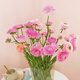 Jingdong Flowers Yunnan Kunming Flower Base Straight Hair Random Color Peony 10 Branches Straight Hair from the Source