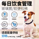 Daily Pancreatitis Low-fat Prescription Dog Food Pancreas Care Gastrointestinal Low-fat Easy-to-Digest Freeze-Dried Full Price Low-Fat Dog Food 10kg