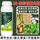 Brassinolide Yuntaixin Preserves flowers and fruit trees, cucumbers, citrus, and fruit-drop prevention plants. Brassinolide growth regulator 10g*50 bags