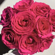 Jingdong Flowers Boutique Water-cultured Soilless Culture New Year's Eve Flowers Valentine's Day Rose Floyd 10 Pack 50CM Straight from the Source
