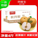Jingxiansheng Shandong Yantai Laiyang Qiuyue Pear Net weight 4Jin Jin is equal to 0.5kg Single fruit 200g+ Fresh fruit Straight from the source