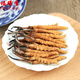 Zangxitang Naqu Cordyceps sinensis, tibetanische Naqu Cordyceps sinensis, Geschenkbox, Cordyceps sinensis 3 1 Gramm 10 Gramm