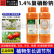Guoguang Yuyang 1.4% sodium nitrophenolate to promote root growth, preserve flowers and fruits, vegetable tomatoes, plant growth regulator 500ml