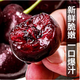 Enjoy Chilean cherries at the tip of your tongue. Imported seasonal fruits for New Year gifts. Christmas Eve fruits 2Jin Jin equals 0.5kg (net weight) Big Mac 3JJJ grade 30-32mm | including box 3Jin Jin equals 0.5kg. Special cold chain packaging