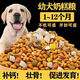 Zailu native dog food 10Jin Jin is equal to 0.5kg. Puppy and adult dog Chinese pastoral dog affordable price 20Jin Jin is equal to 0.5kg. Full price puppy and large dog food. Dog food pure fruit and vegetable flavor. 2 points 5kg5Jin Jin is equal to 0.5kg.