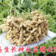 High-end Kainong 301 peanut seeds, thin shell, early maturity, high yield, high oil, short stem, disease resistance, sown by farmers in spring and summer, Kainong 301 original 500g x 2 bags