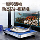 Deli Electronic Scale Commercial Platform Scale Floor Scale 150kg Accurate Weighing 300kg Industrial High-Precision Stall Floor Scale Floor Scale 150Kg Stainless Steel Scale Pan + Stainless Steel Button