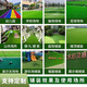 Fake turf simulated lawn green carpet outdoor artificial plastic artificial bionic outdoor insulation fence football field 2cm encrypted high-quality spring grass 2.5m wide 4m long