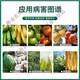 Anmeifu ethephon ripening agent rice regulator growth tobacco tomato persimmon banana fruit ripening agent 1000g