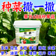Just when the flowers are blooming, regular original package, small granular urea fertilizer, vegetable nitrogen fertilizer, flower planting fertilizer, fruit and vegetable plant potting general purpose, granular urea 10 barrels, original packaging delivery/10% off for fake ones