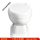 Pupan rural toilet renovation dry toilet dual-purpose ceramic flush-free straight-through squat toilet converted into a sitting toilet toilet for the elderly j extra long square mouth + cover