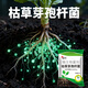 SOUTH RANCH agricultural Bacillus subtilis ecological organic planting mulch root nourishment soil anti-root rot and anti-repeat bacterial fertilizer Bacillus subtilis 1000g*10 bags