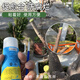 Shiqi wound healing agent tree rose fruit tree seedlings plant bonsai pruning grafting healing ointment smear healing ointment